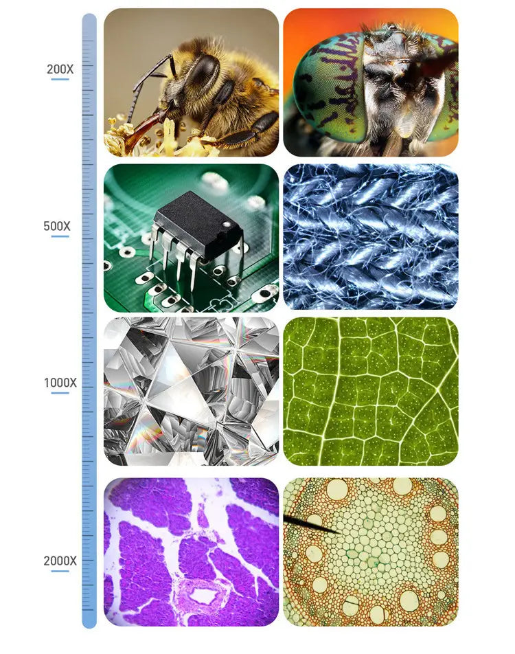 The royale essence lux 7 inch HD touchscreen digital microscope includes a packing list featuring microscopic views such as a bee with golden-brown fur and black eyes at 200x magnification.