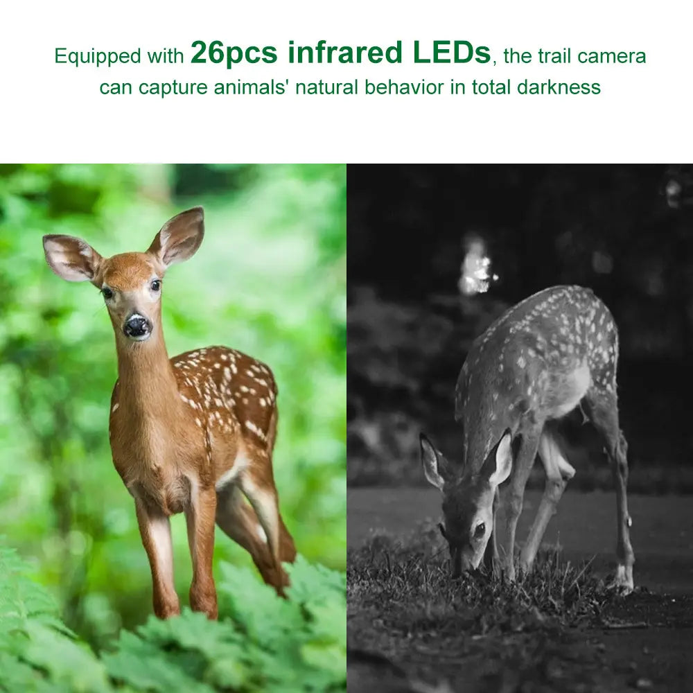 Waterproof 1080p trail camera with night vision featuring 26 infrared leds designed to capture animals natural behavior in total darkness.