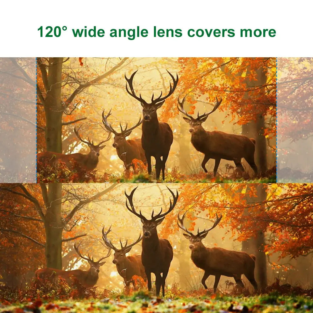 a waterproof 1080p trail camera with night vision captures a vivid autumn forest scene with deer amidst golden foliage using a 120 degree wide angle lens