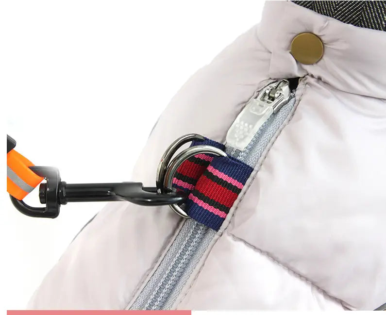 white quilted pet dog winter clothes featuring a puffer jacket design with silver zipper, gold-toned button at the collar, and striped fabric strap attached to a metal ring