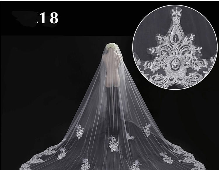 A delicate translucent white lace wide style bridal wedding dress veil with intricate floral embroidery and a decorative central motif featuring a hair comb.