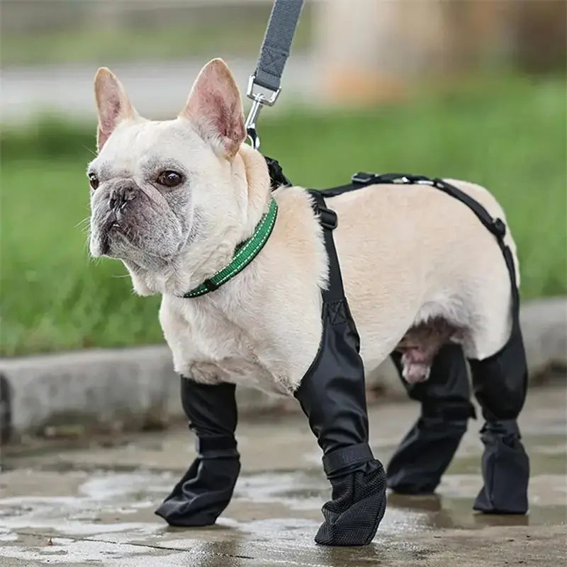 black waterproof adjustable dog shoes featuring adjustable straps and breathable mesh detailing for enhanced comfort and protection.