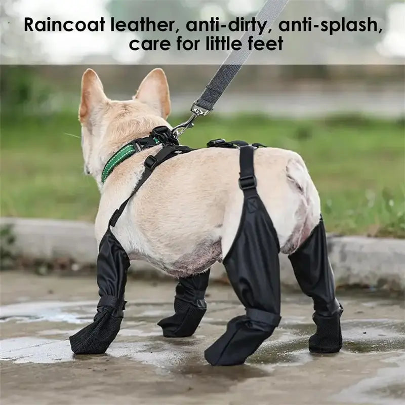 black waterproof adjustable dog shoes made of raincoat leather designed to protect little paws from dirt and splash