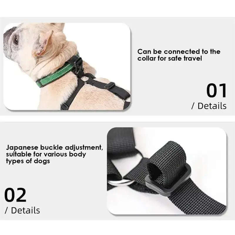 Black waterproof adjustable dog shoes featuring a black nylon dog harness with green reflective trim and Japanese buckle adjustment.