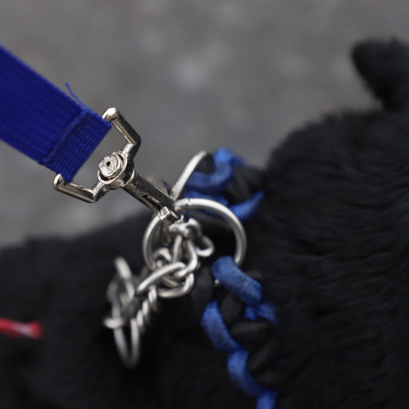 Blue woven pet rope leash with silver metal clasp and chain attachment featured with blue collapsible pet water bottle for pet supplies use.