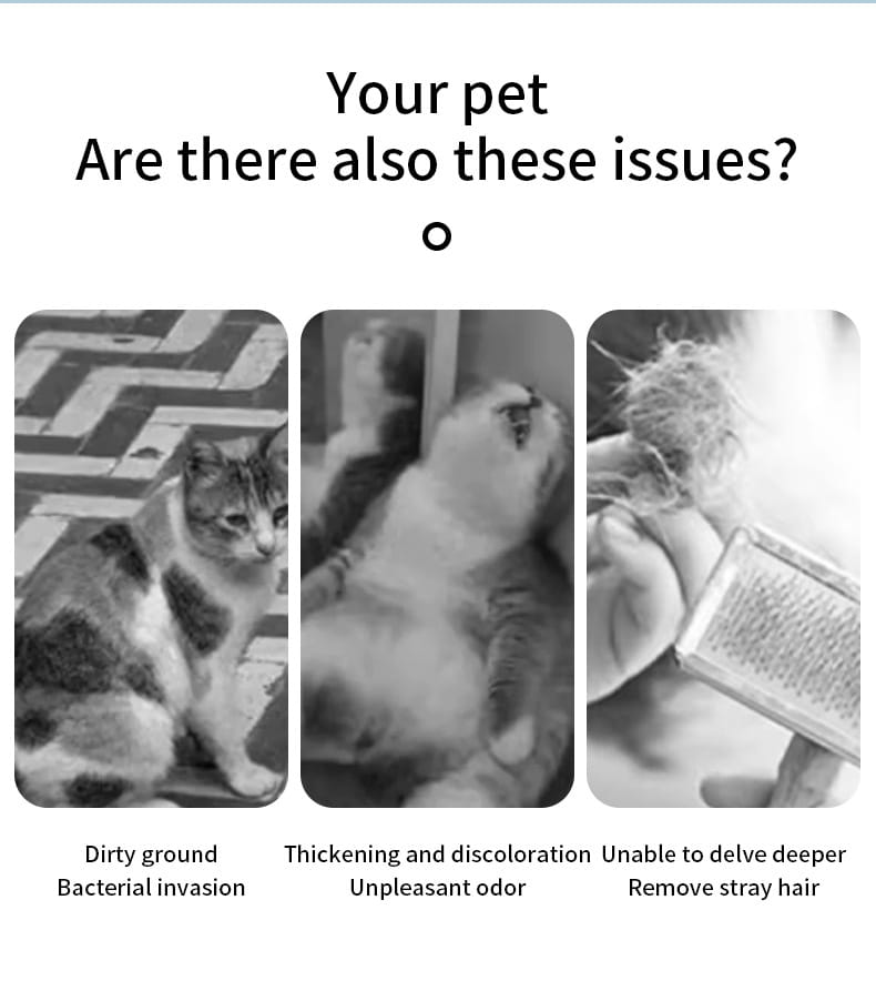 A black-and-white image with three panels showing a calico cat sitting on a patterned floor a white cat with thickened fur and discoloration lying down and a hand using a metal self-cleaning mist grooming brush to remove stray hair from the cat’s coat suitable for cat and dog grooming.