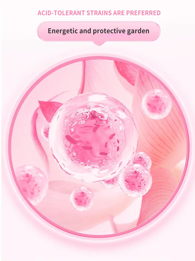 pink translucent spherical cells with pink internal structures represent the active ingredients of uro women’s probiotic capsules designed to support female urinary health against a soft pink background within a circular frame