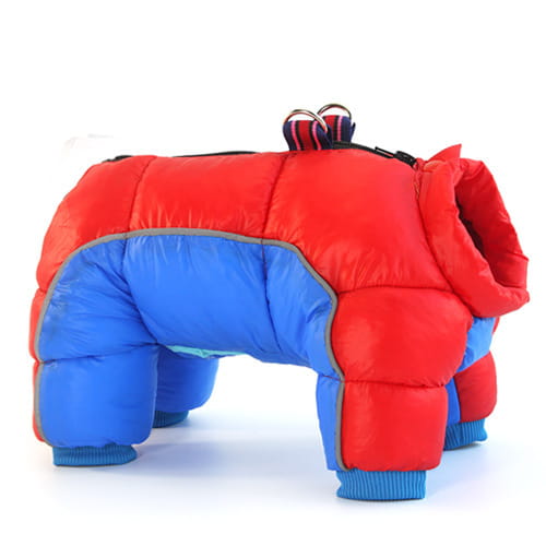Red and blue quilted puffer dog coat with elastic cuffs designed as pet dog winter clothes for warmth and comfort.