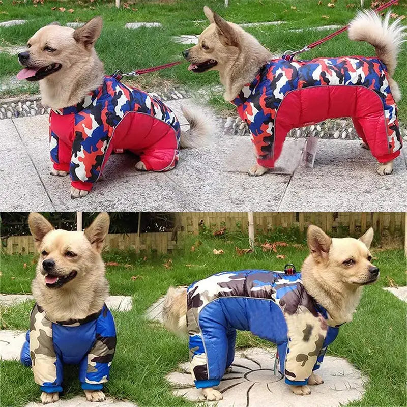 A fluffy tan pet dog wearing quilted camouflage-patterned dog winter clothes with red and blue accents designed for cold weather protection.