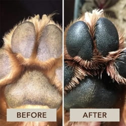 the before-and-after image of a dog’s paw demonstrates the effectiveness of natural pet foot care cream by showing significantly darker and more defined pads, highlighting its use as a foot care cream for pet foot maintenance.