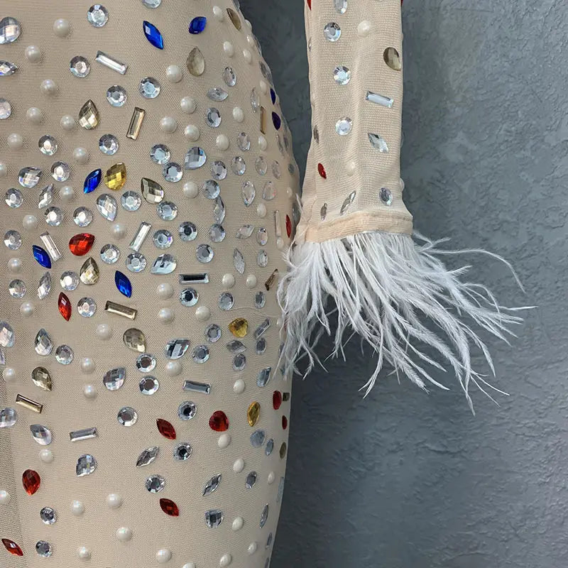 Beige rhinestone mesh stretch bodysuit with multicolored rhinestones and white feather trim at the sleeve in a silver feathered rhinestone mesh stretch slim dress style.