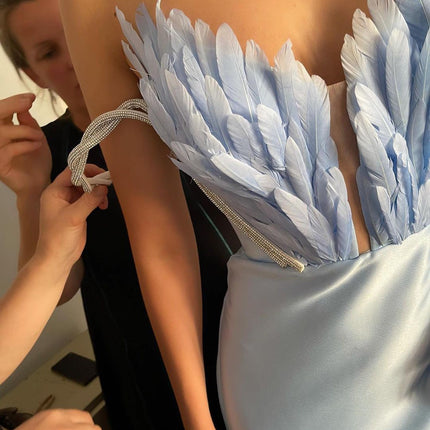 A Dress With Feathers Sweeping The Floor - Royalessencelux