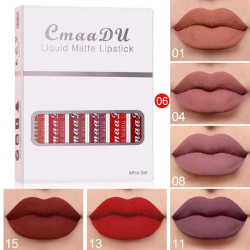 Cmaadu 6 piece matte waterproof lipstick long lasting set in muted terracotta dusty rose mauve deep red and plum shades