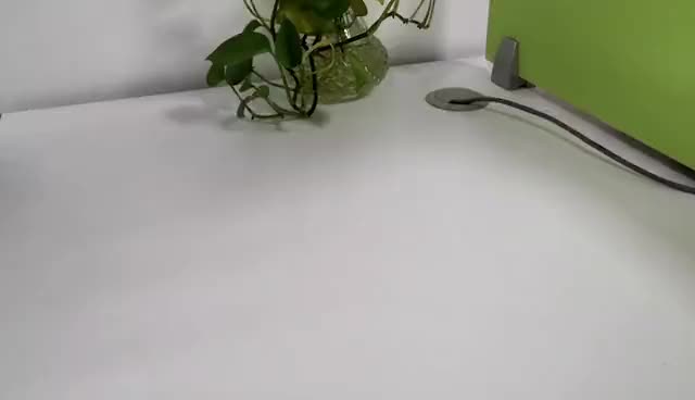 a black faux leather car tissue box cover displayed with a green potted plant with trailing vines in a clear glass container on a white surface.