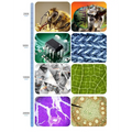 Microscopic views including bee head and leaf veins displayed on a 7 inch hd touchscreen digital microscope royale essence lux