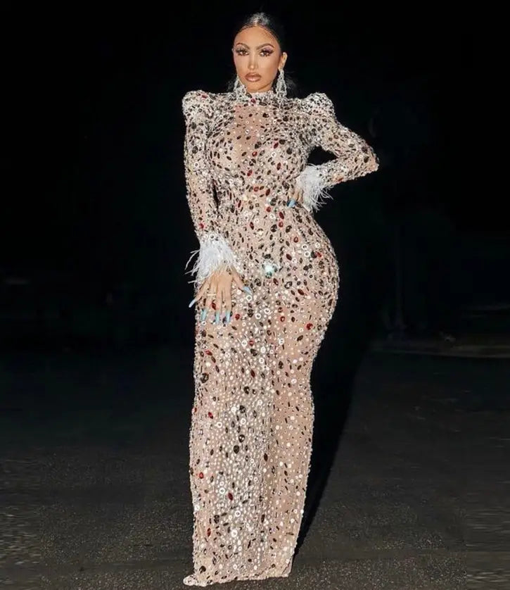 A shimmering silver feathered rhinestone mesh stretch slim dress with long sleeves and intricate sequin detailing.