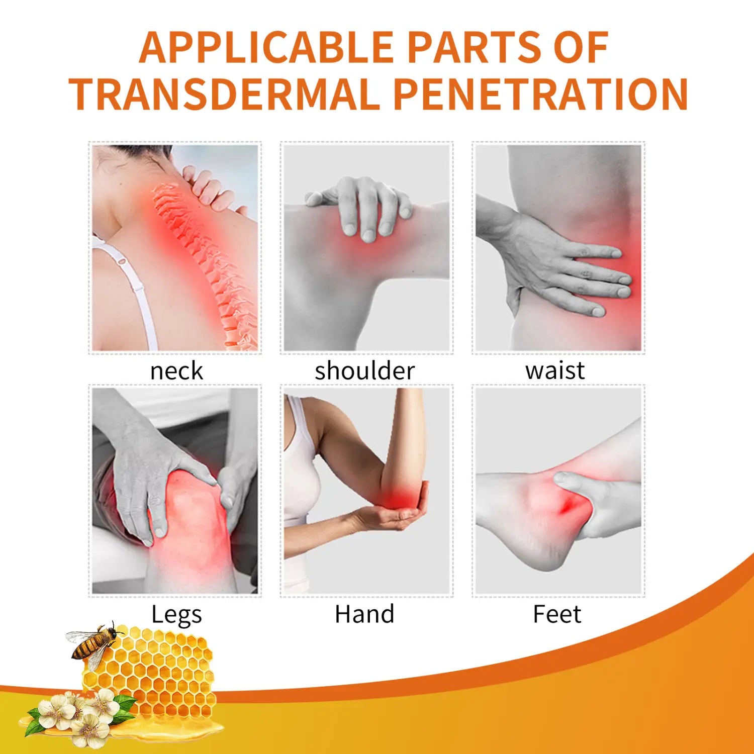 The diagram illustrates red highlighted zones on the neck, shoulder, waist, legs, hand, and feet showing transdermal penetration areas for propolis joint care gel targeting muscle pain relief.