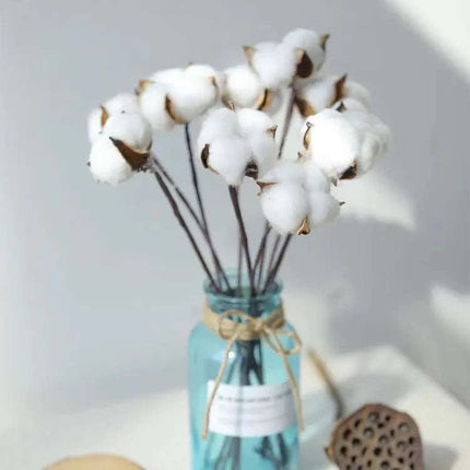 Artificial Cotton Stem for Decor - Royalessencelux