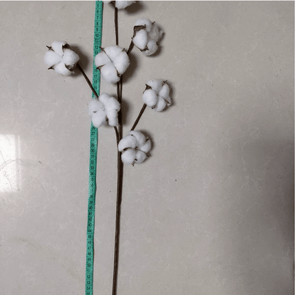 Artificial Cotton Stem for Decor - Royalessencelux