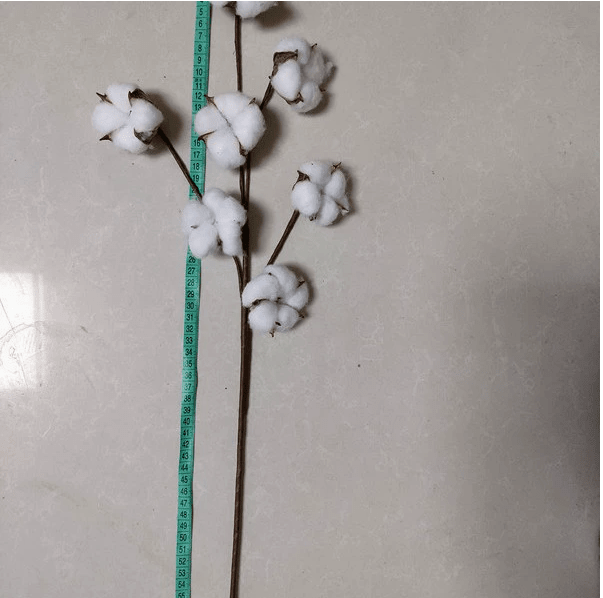 Artificial Cotton Stem for Decor - Royalessencelux