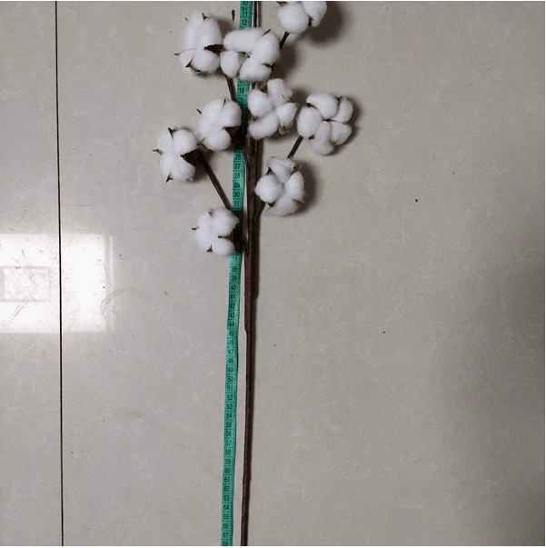 Artificial Cotton Stem for Decor - Royalessencelux