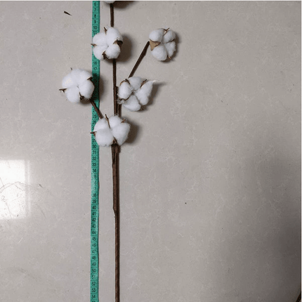 Artificial Cotton Stem for Decor - Royalessencelux
