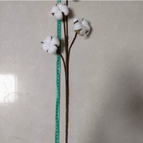 4 White Cotton Branches