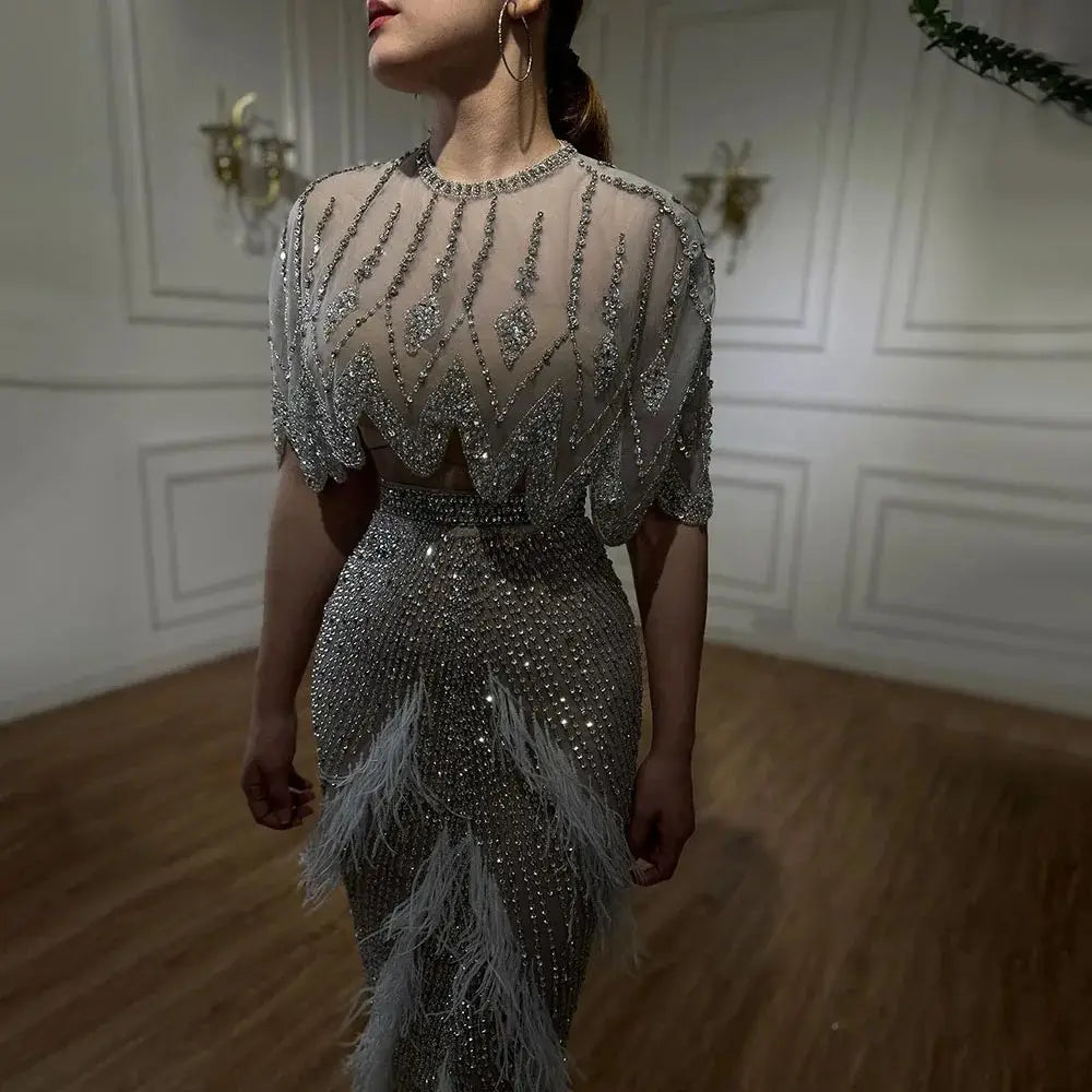 A silver nude feathered evening dress features a shimmering silver beaded gown with feather accents and a sheer embellished bodice perfect for formal events.