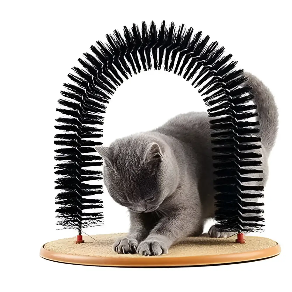 Black bristle grooming cat toy arch with wooden base featuring a scratch pad for feline claw care and play