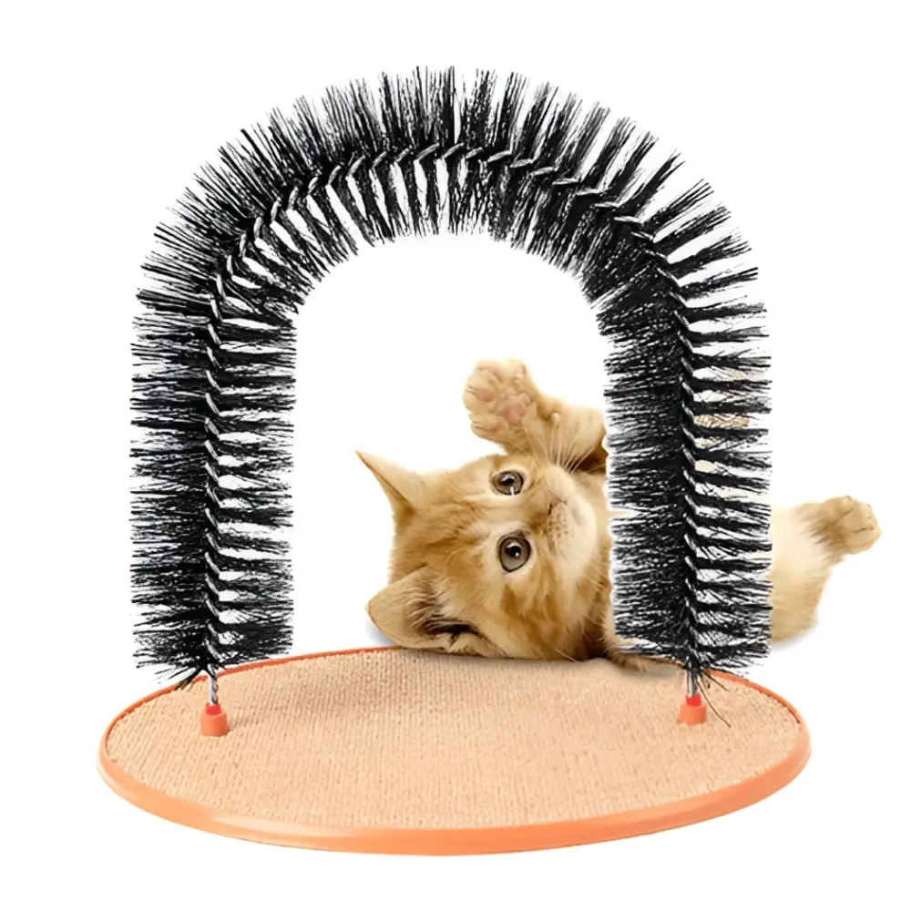 Black bristle grooming cat toy arch with orange scratch pad base and a ginger kitten peeking through
