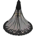 Elegant black lace wedding veil with sheer mesh and floral embroidery ideal for photography accessories halloween