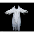 White angel halloween performance costume with black star feathered wings and sheer tulle skirt with star embellishments