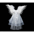 White angel wings with feathered edges and a sheer tulle skirt with sparkling embellishments for black star feathered halloween performance costume