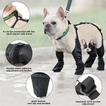 Black waterproof adjustable dog shoes with green trim and straps protect paws from hot pavements and wet conditions