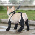 Black waterproof adjustable dog shoes featuring adjustable straps and mesh detailing for protection on hot pavements