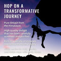Silhouette of climber against twilight sky illustrating strength and endurance with blueberry himalayan shilajit gummies