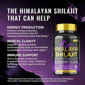 Black bottle with gold cap and purple label featuring himalayan shilajit in bold yellow text for blueberry himalayan shilajit gummies 60 count