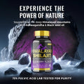 A dark purple bottle with a gold cap containing bsy’s blueberry himalayan shilajit gummies 60 count dietary supplement