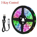 Bluetooth ws2812b black led strip with colorful led lights 3-key control remote and usb cable for easy use