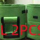 Green 2PCS / Large