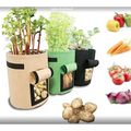 Beige green and black breathable potato tomato plant growth bags with side pockets for harvesting vegetables