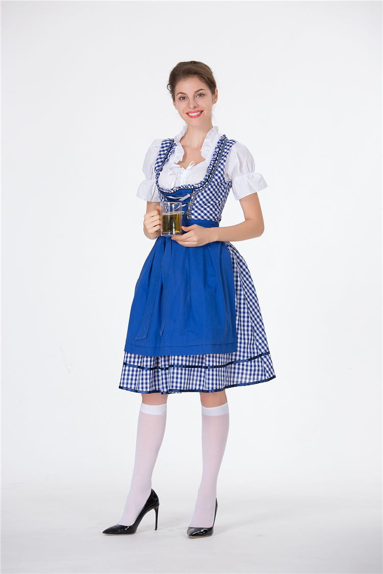 blue and white checkered dirndl dress with fitted bodice full skirt and lace-trimmed neckline suitable for german beer festival and american german beer festival clothing