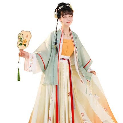 Song Women's Han Chinese Clothing Summer Improvement Ancient Costume - Royalessencelux