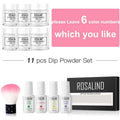 Rosalind dipping powder 11-piece nail beauty set with six clear jars, white plastic bottles, and a pink brush for professional use