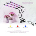 Black flexible dual arm clip led grow light with three adjustable arms emitting red blue and purple lights with remote