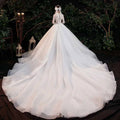 Elegant lace bridal gown with intricate lace detailing, long sleeves, and a voluminous white tulle skirt back view