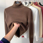Brown Color / 2XL