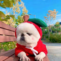 White fluffy dog wearing red apple-themed frog plush fruit dog clothes hoodie for small dogs hoodies