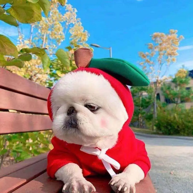 White fluffy dog wearing red apple-themed frog plush fruit dog clothes hoodie for small dogs hoodies