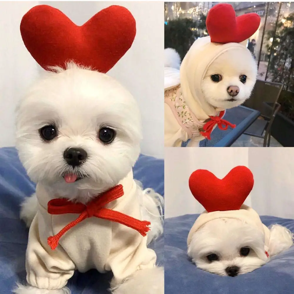 White fluffy dog wearing cream frog plush fruit small dogs hoodies outfit with red heart headpiece and bow tie